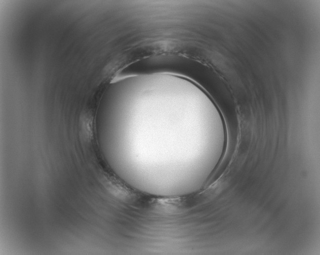 X0000064760188200603031809