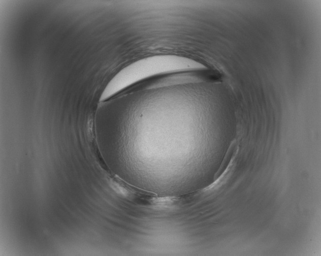 X0000064760192200603031809