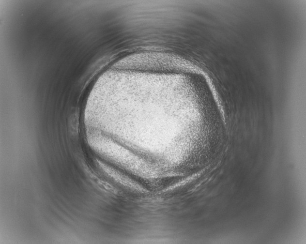 X0000064760194200603031808