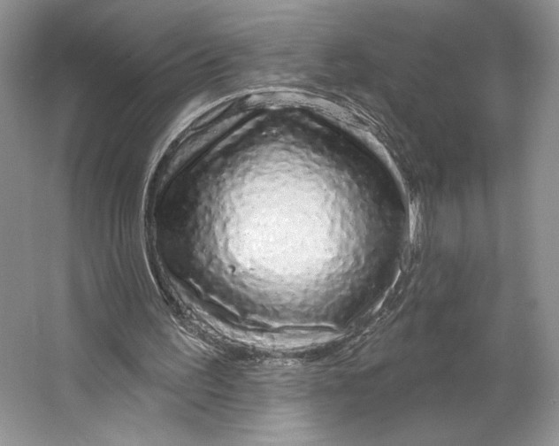 X0000064760195200603031808