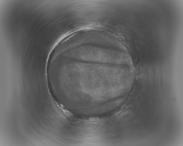 X0000064760196200603031808
