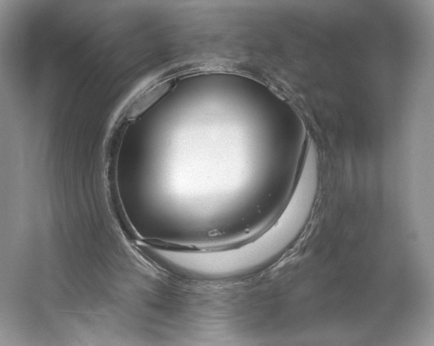 X0000064760197200603031808