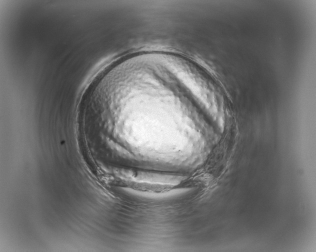 X0000064760199200603031808