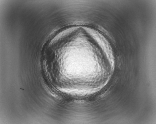 X0000064760203200603031808
