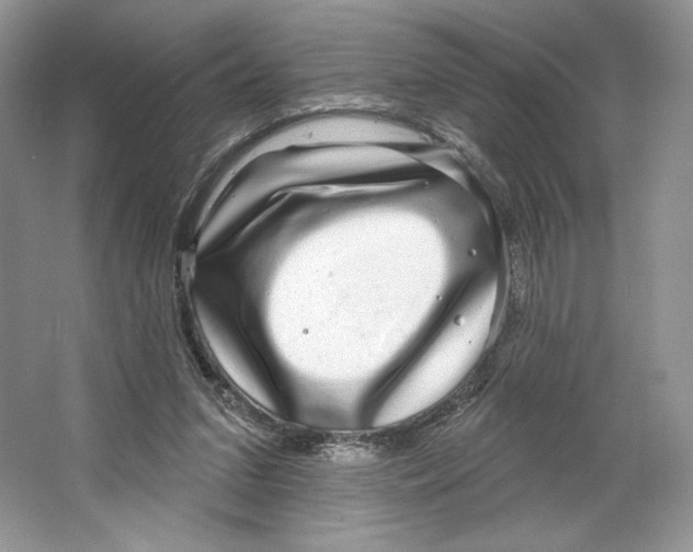 X0000064760207200603031808