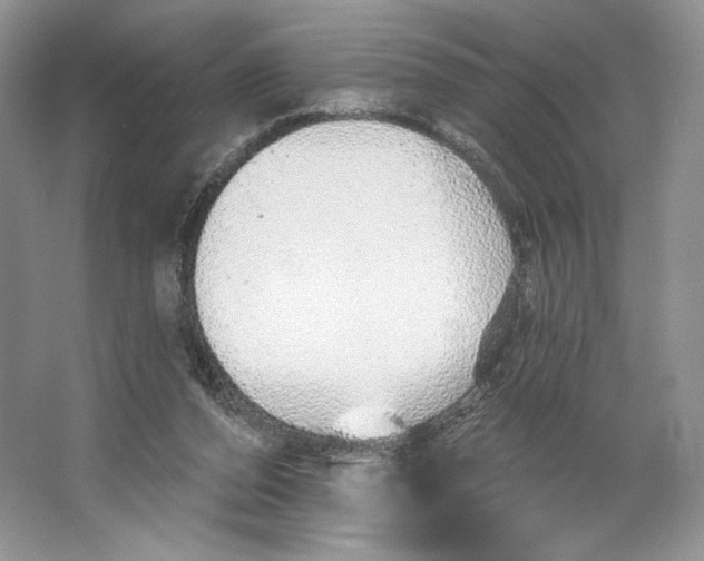 X0000064760208200603031808