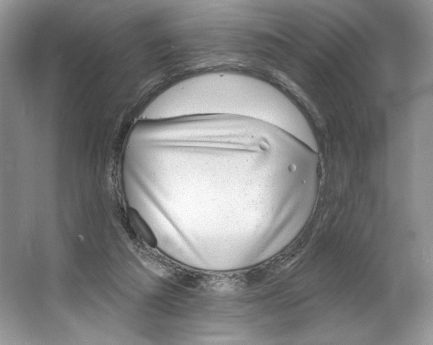 X0000064760209200603031808