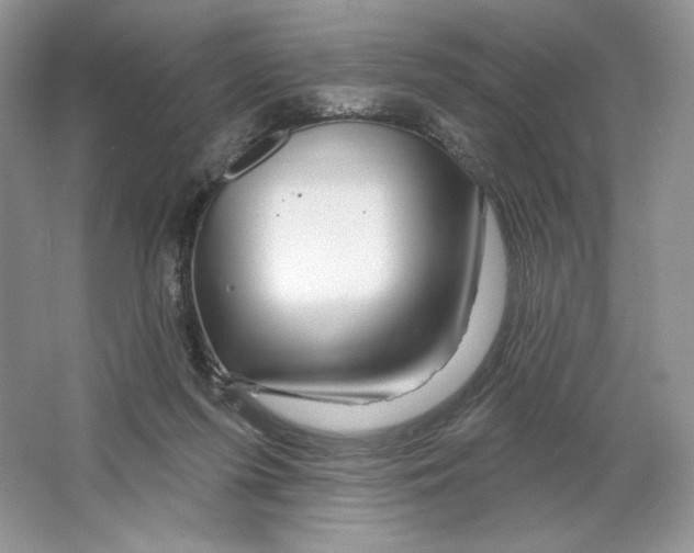 X0000064760215200603031808