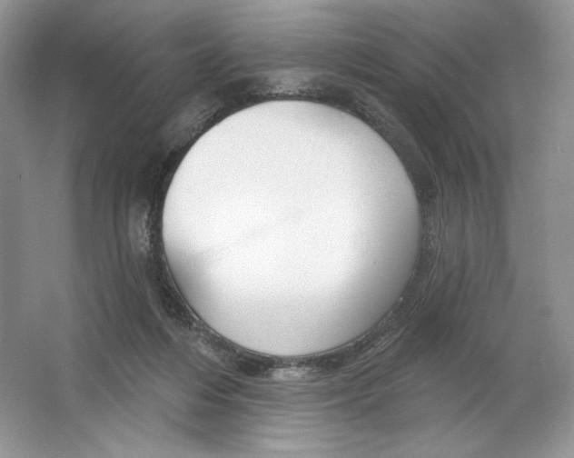 X0000064760216200603031808
