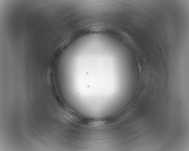 X0000064760217200603031808