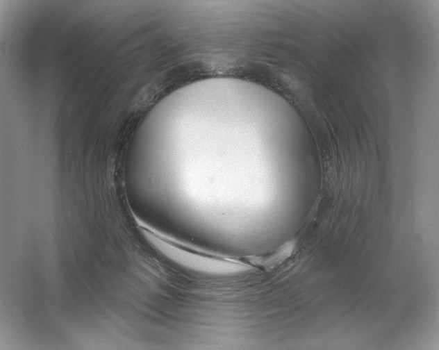 X0000064760221200603031808