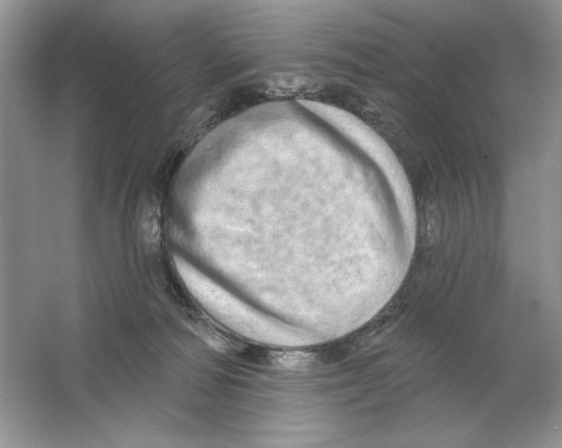 X0000064760226200603031807