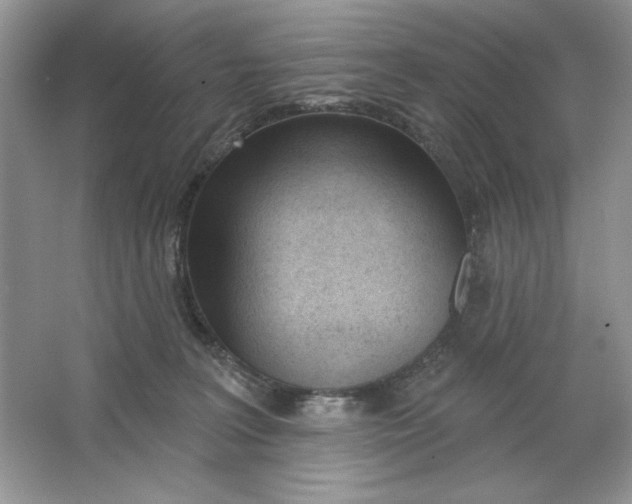X0000064760227200603031807