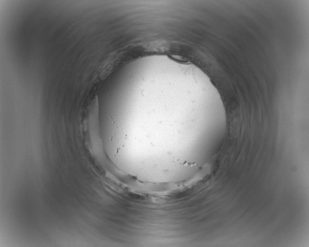X0000064760229200603031807