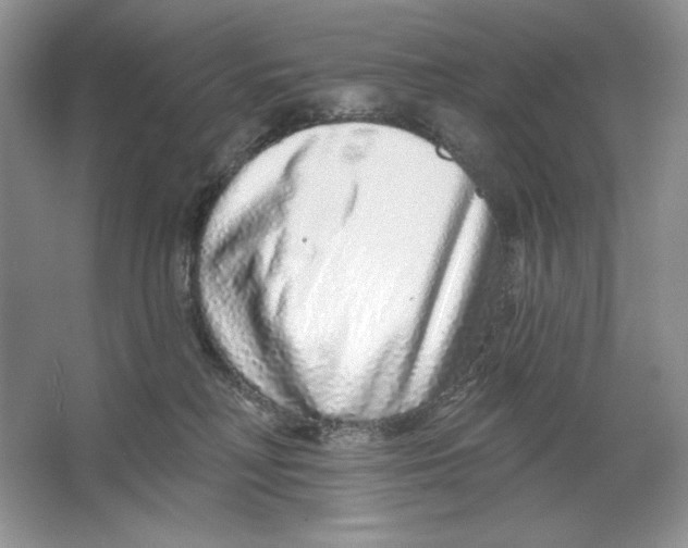 X0000064760230200603031807