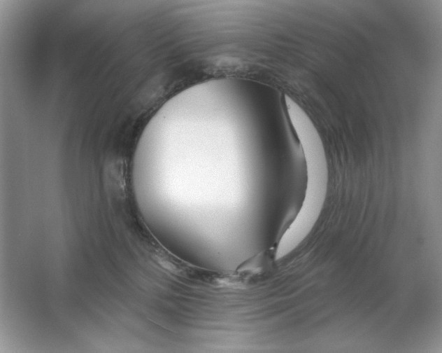 X0000064760232200603031807
