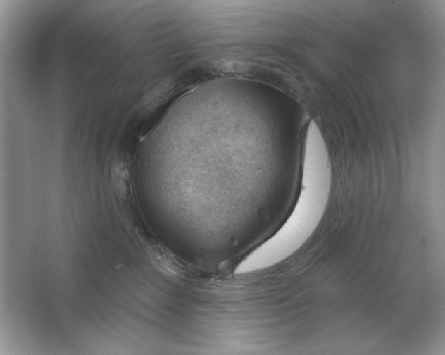 X0000064760235200603031807