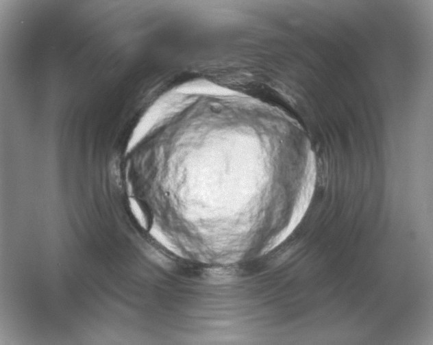 X0000064760238200603031807