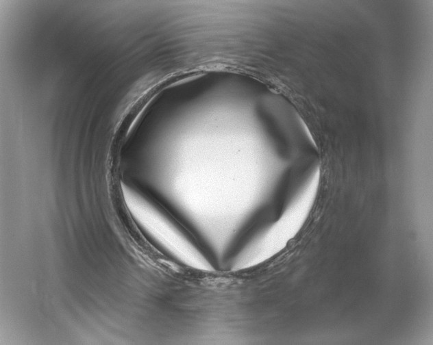 X0000064760242200603031806