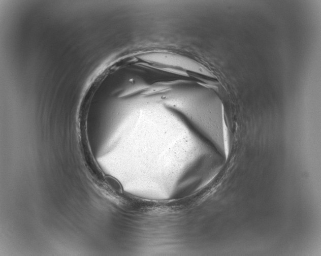 X0000064760246200603031806