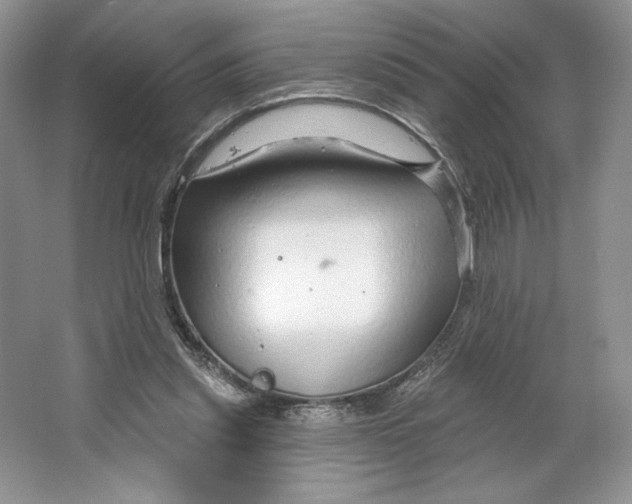 X0000064760253200603031807