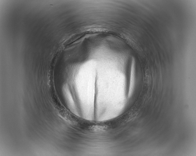 X0000064760255200603031807