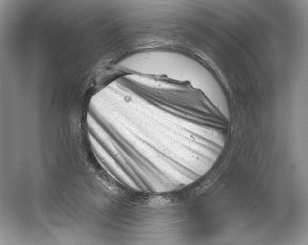 X0000064760257200603031807