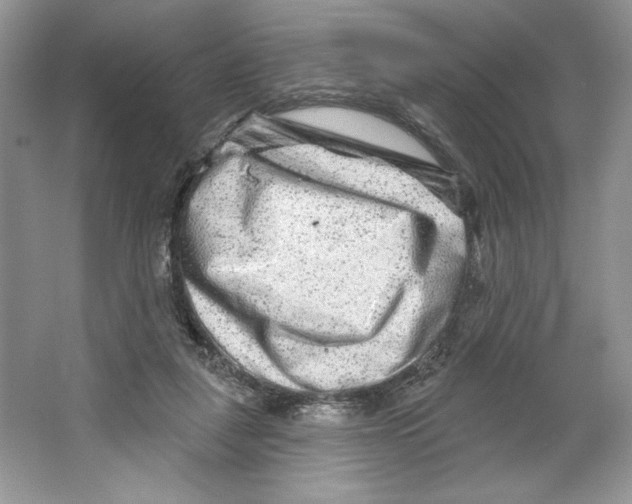 X0000064760259200603031807