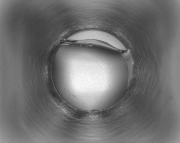 X0000064760260200603031807