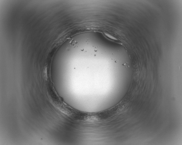 X0000064760262200603031807