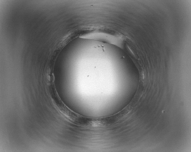 X0000064760264200603031807