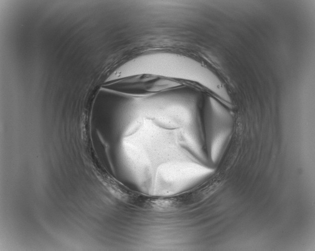 X0000064760265200603031807