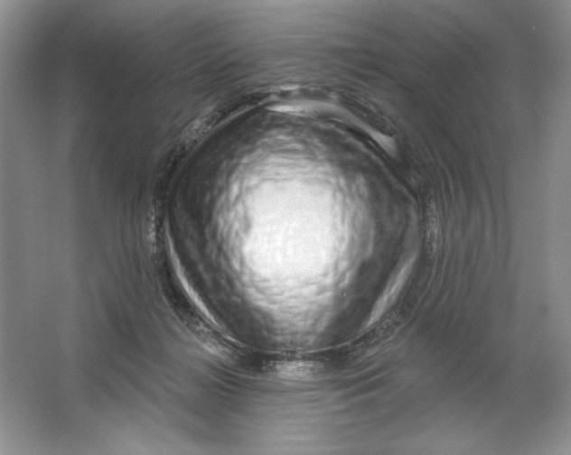 X0000064760268200603031807