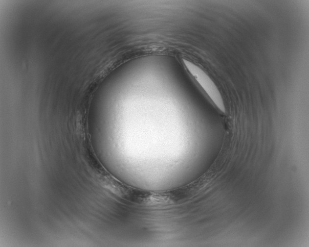 X0000064760270200603031807