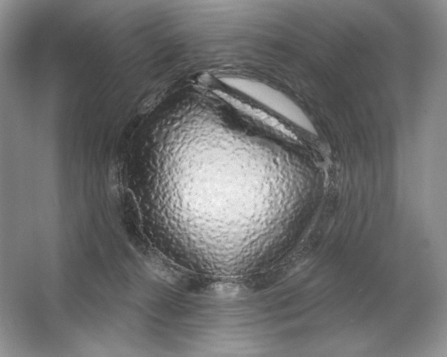 X0000064760272200603031807