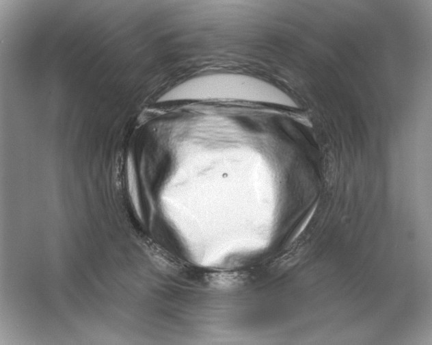X0000064760273200603031807
