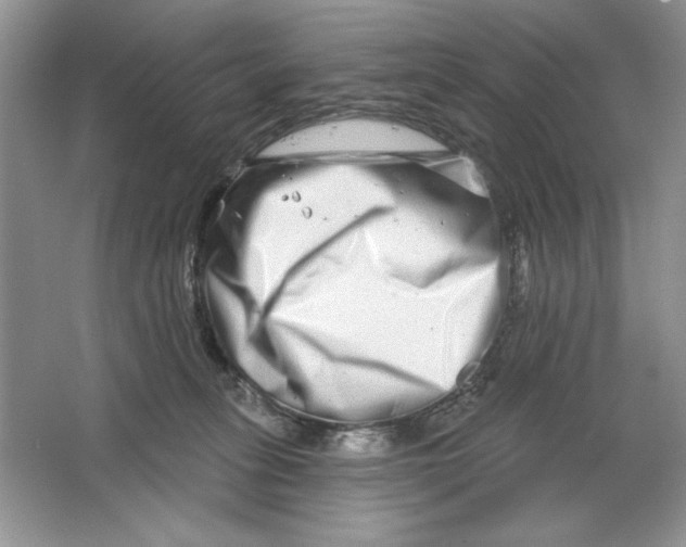 X0000064760275200603031807