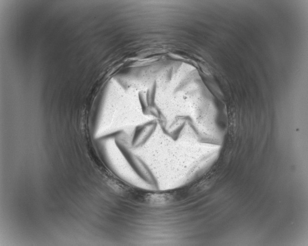 X0000064760277200603031807