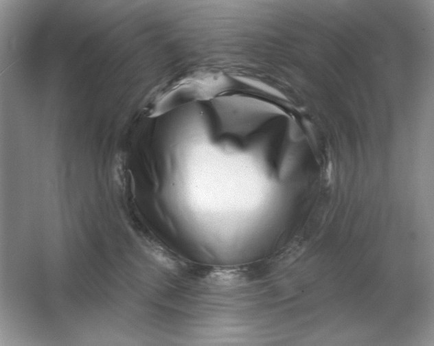 X0000064760280200603031807