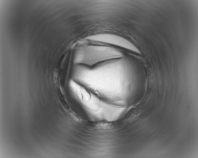 X0000064760281200603031807