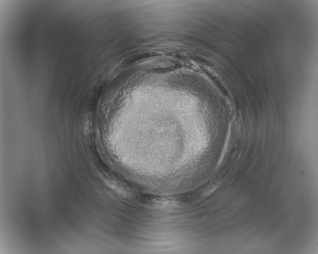 X0000064760284200603031807