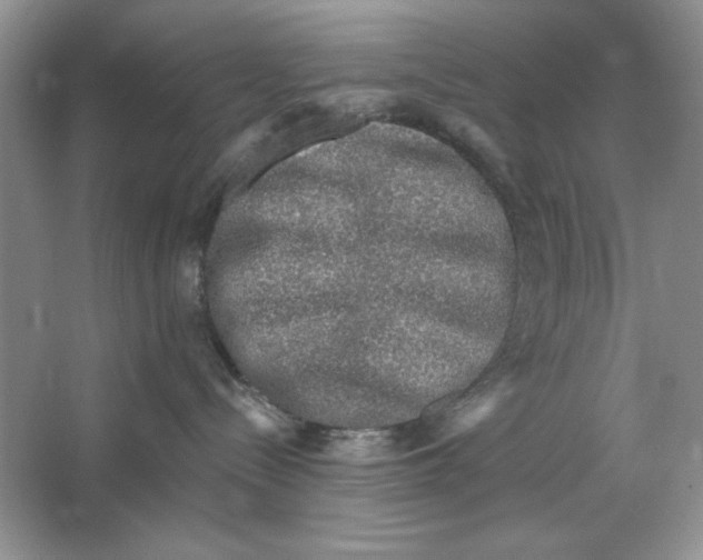 X0000064760288200603031807