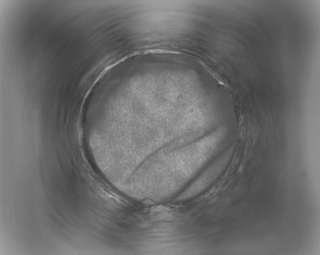 X0000064760290200603031806