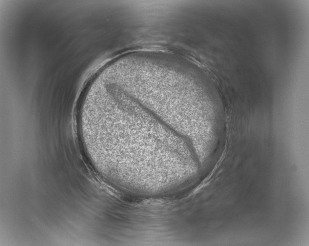 X0000064760294200603031806