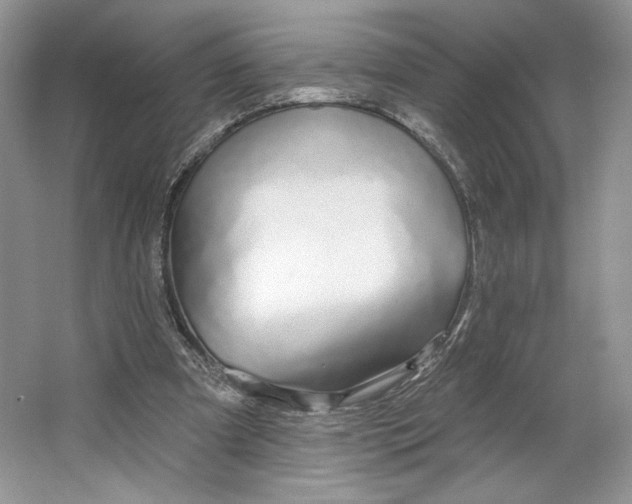 X0000064760297200603031806