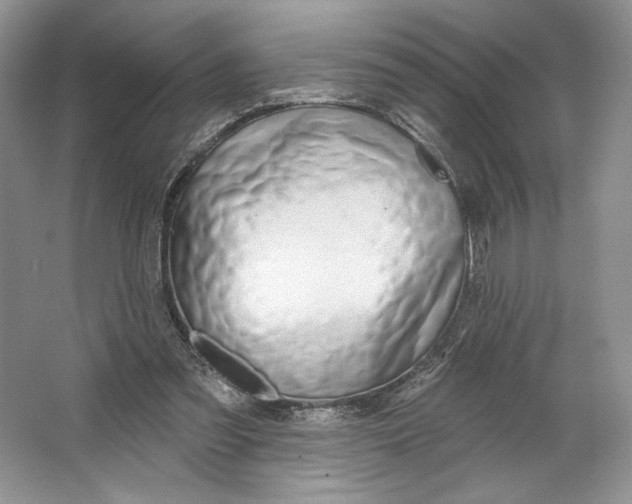 X0000064760301200603031806
