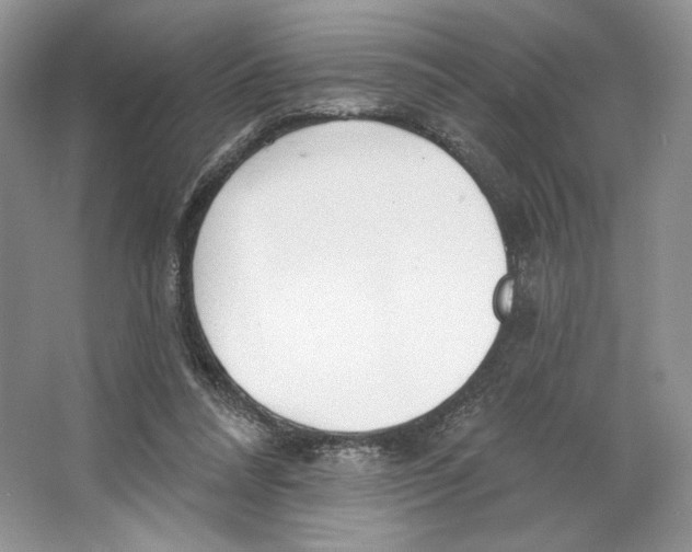 X0000064760304200603031806