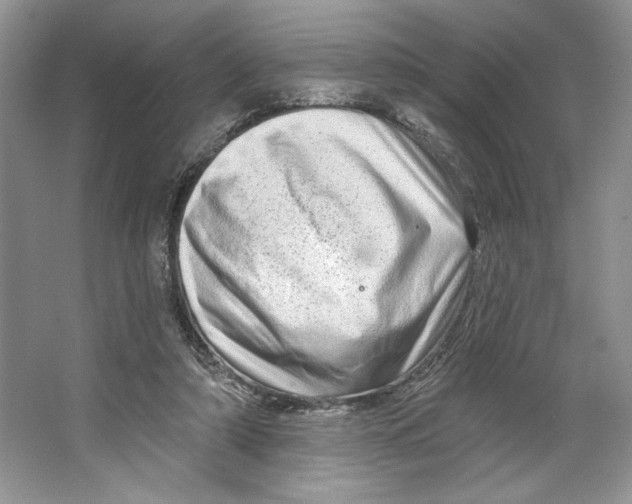 X0000064760306200603031806