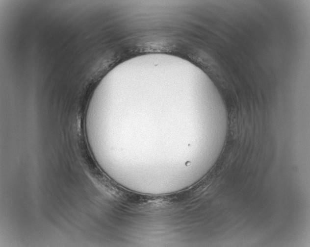 X0000064760310200603031806