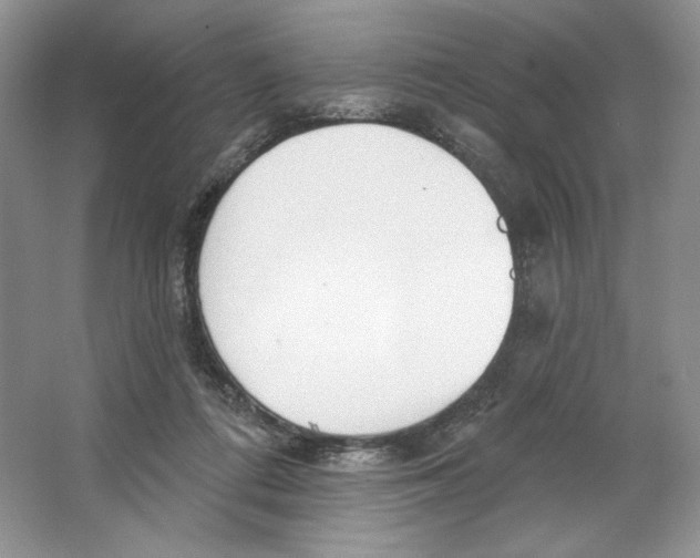 X0000064760312200603031806